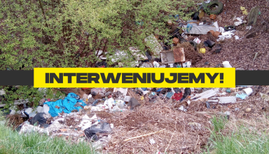 Nielegalne składowisko śmieci w Nowogrodźcu - EkoObywatel