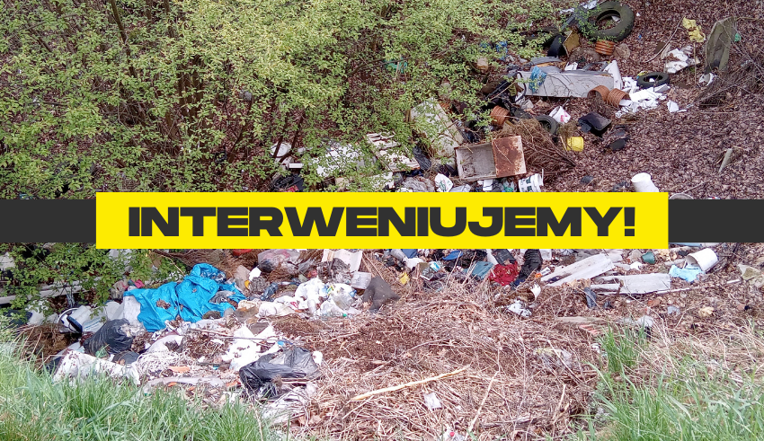 Nielegalne składowisko śmieci w Nowogrodźcu - EkoObywatel