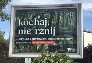 Kochaj, nie rżnij - kampania ekologiczna Wrocław