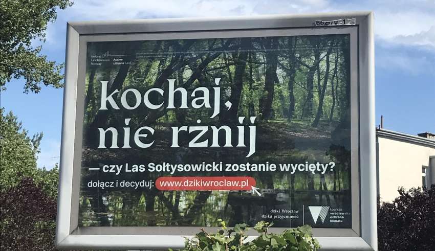 Kochaj, nie rżnij - kampania ekologiczna Wrocław