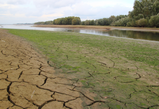 Czy Polsce wystarczy wody dla atomu i rekultywacji odkrywek? Naukowcy ostrzegają