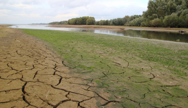 Czy Polsce wystarczy wody dla atomu i rekultywacji odkrywek? Naukowcy ostrzegają