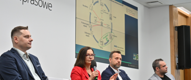 AnalizaSystemKaucyjny