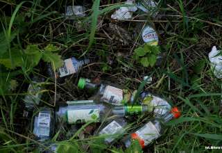 Szklana plaga. „Butelki i potłuczone szkło są dosłownie wszędzie”