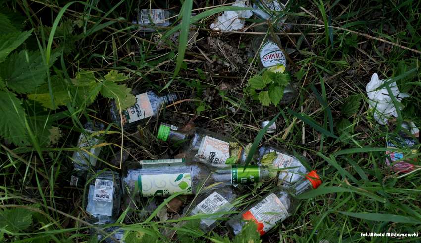 Szklana plaga. „Butelki i potłuczone szkło są dosłownie wszędzie”