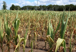 Trzecia rocznica wyborów: Ostatni dzwonek na decyzje dla bezpieczeństwa klimatycznego Polek i Polaków