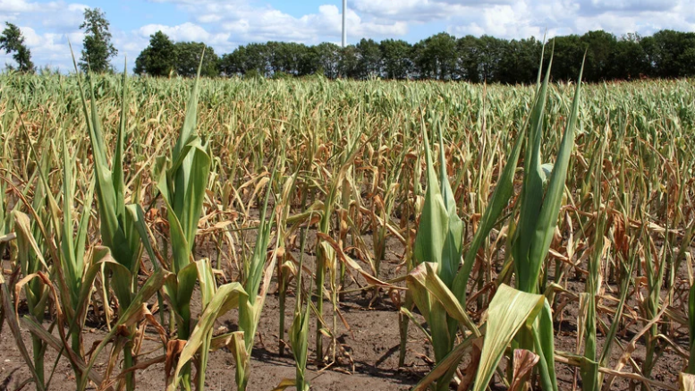 Trzecia rocznica wyborów: Ostatni dzwonek na decyzje dla bezpieczeństwa klimatycznego Polek i Polaków
