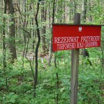 Rezerwat 1